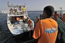 El Quseir scuba diving holiday - Red Sea